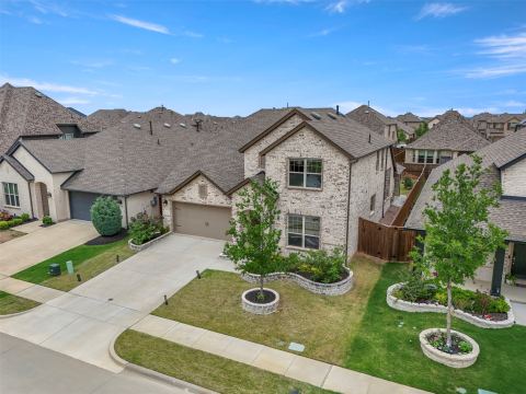 1913 Braided Mane Avenue