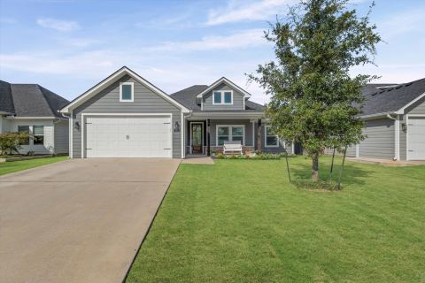 132 Swan Lake